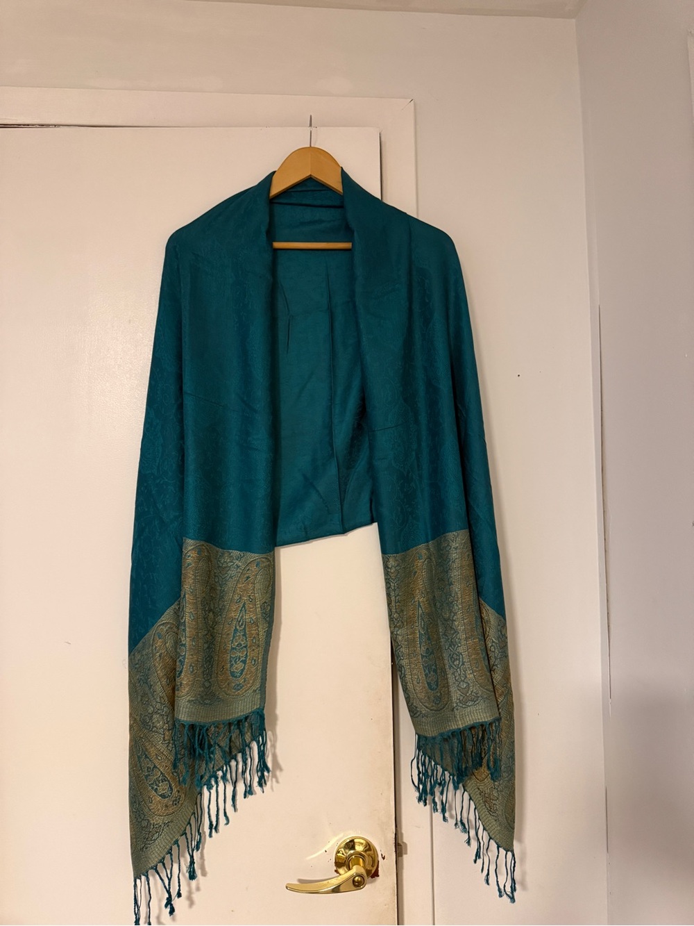 Teal Paisley Trim Shawl Wrap - Women Accessories